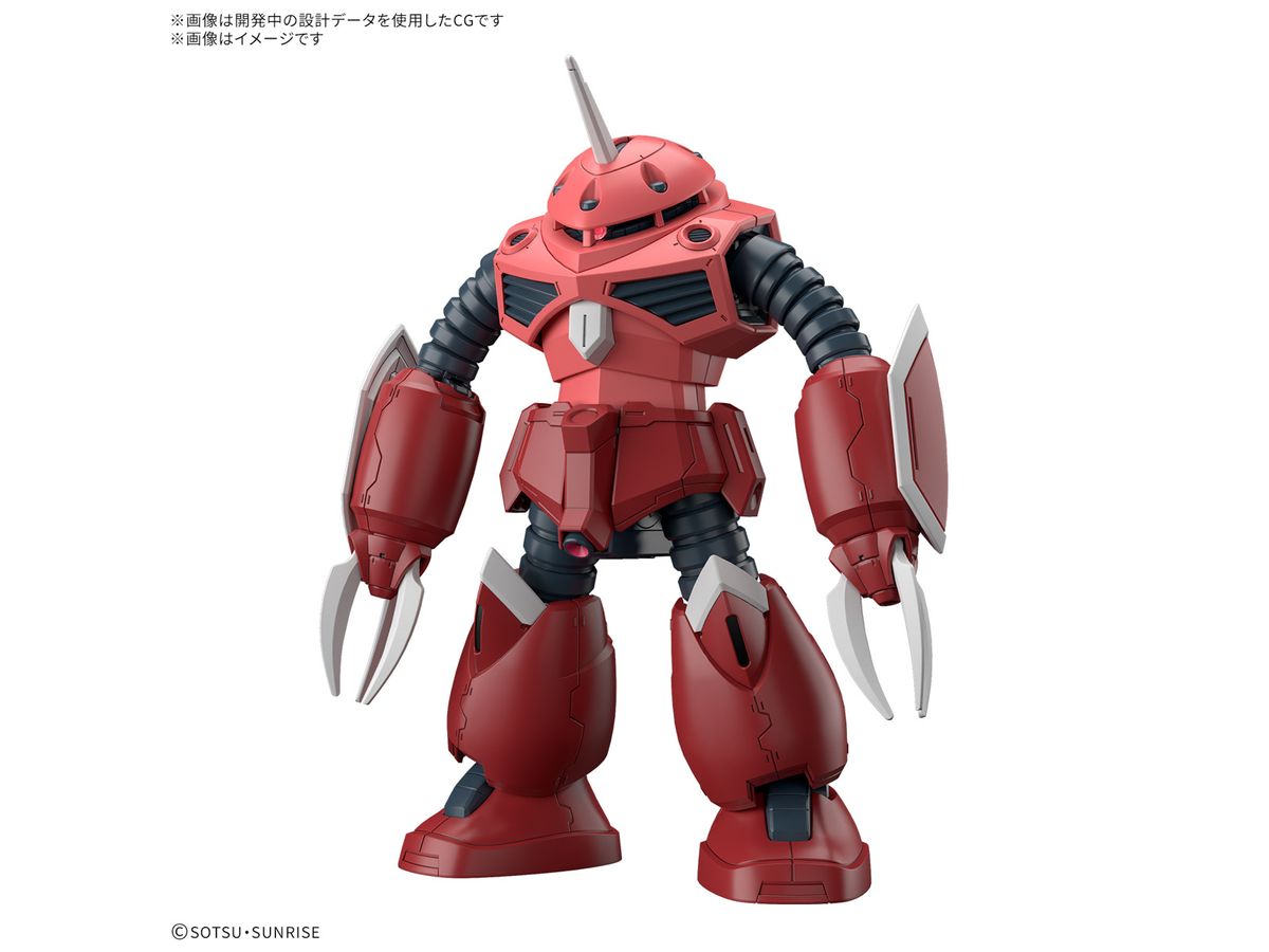 HG Z'Gok (Mobile Suit Gundam SEED FREEDOM Ver.)