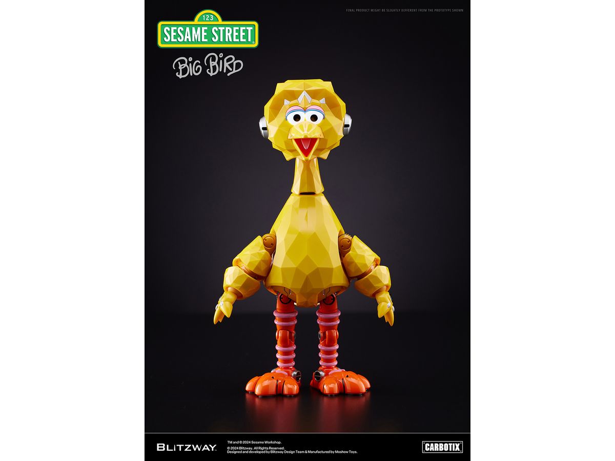 CARBOTIX Big Bird