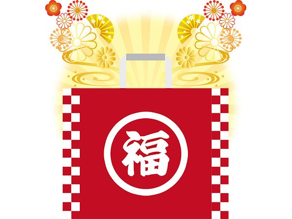 2025 Lucky Box Plastic Model Kit