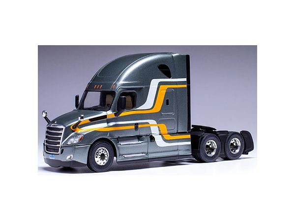 FREIGHTLINER Cascadia 2018 Metallic Grey