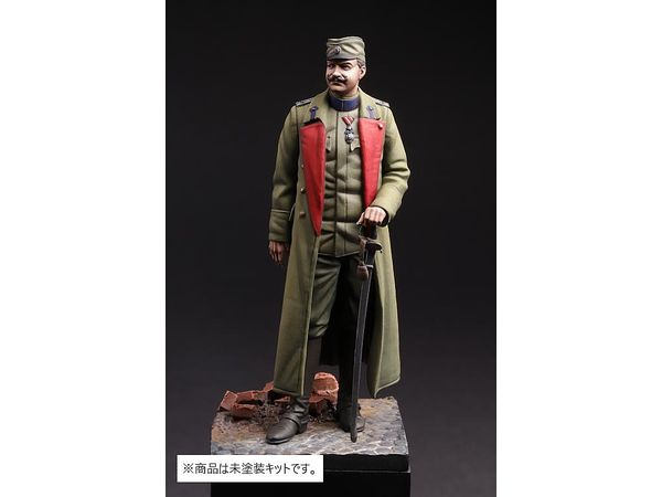 Serbian Officer WW I