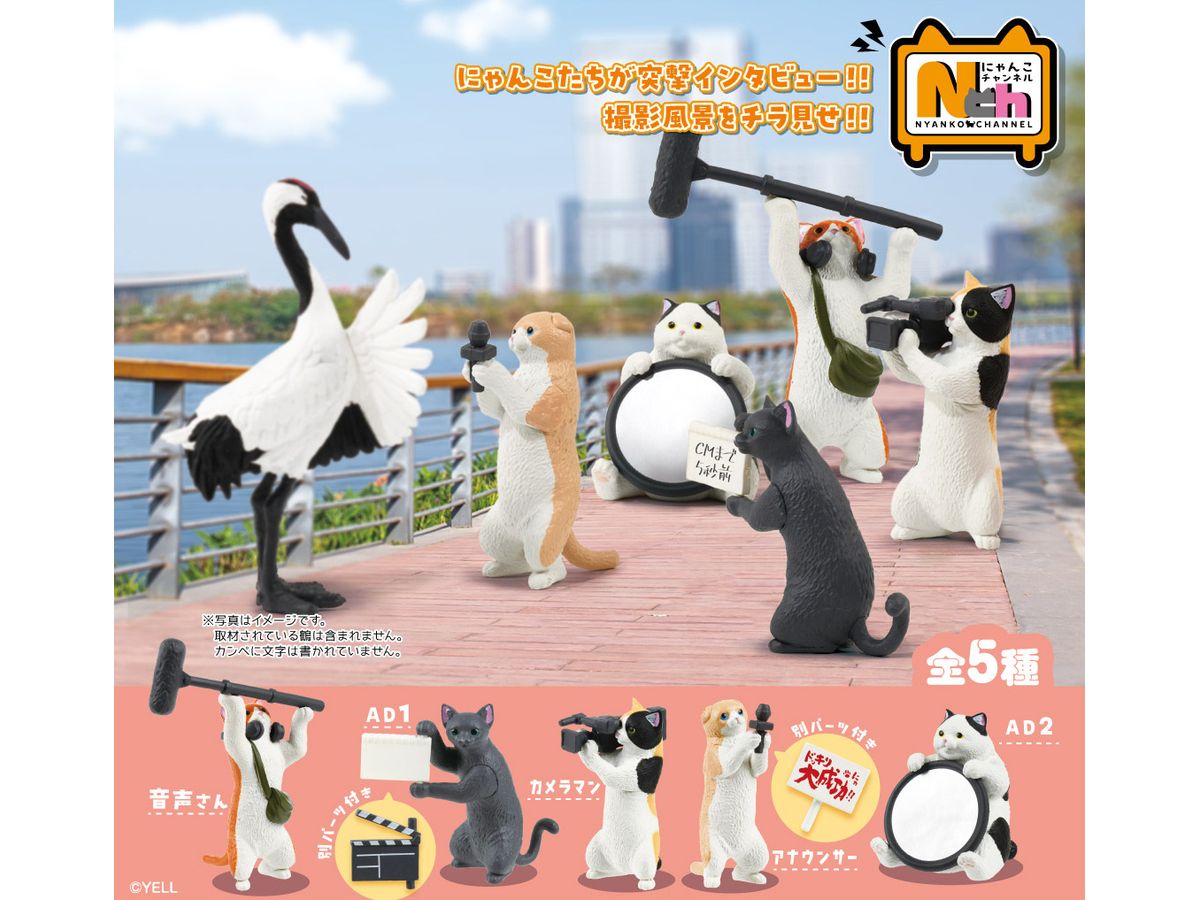 Nyanko Channel: 1Box (10pcs)