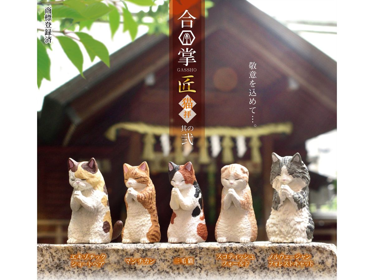 Gassho Takumi - Nekohai - Vol.2- 1Box 10pcs